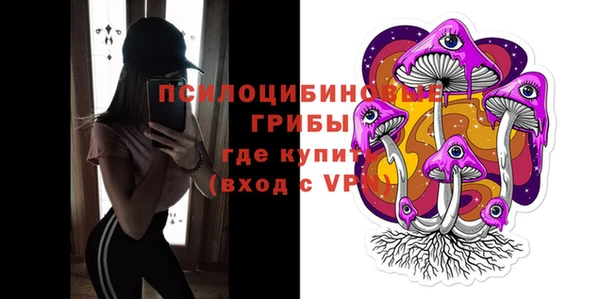 стафф Зерноград
